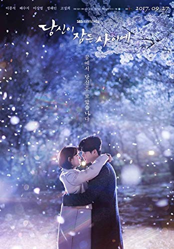 韓国ドラマ『あなたが眠っている間に』(2017)全24話 感想 - るる_ららら